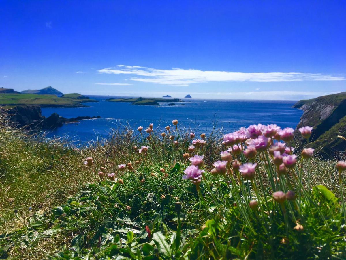 Cul Holiday home Clynacartan